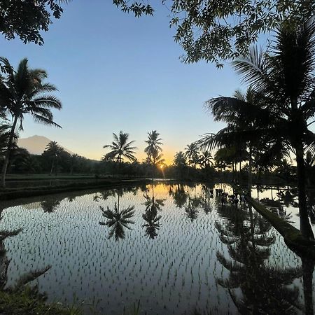 Tereng Wilis Bungalows เตเตบาตู ภายนอก รูปภาพ