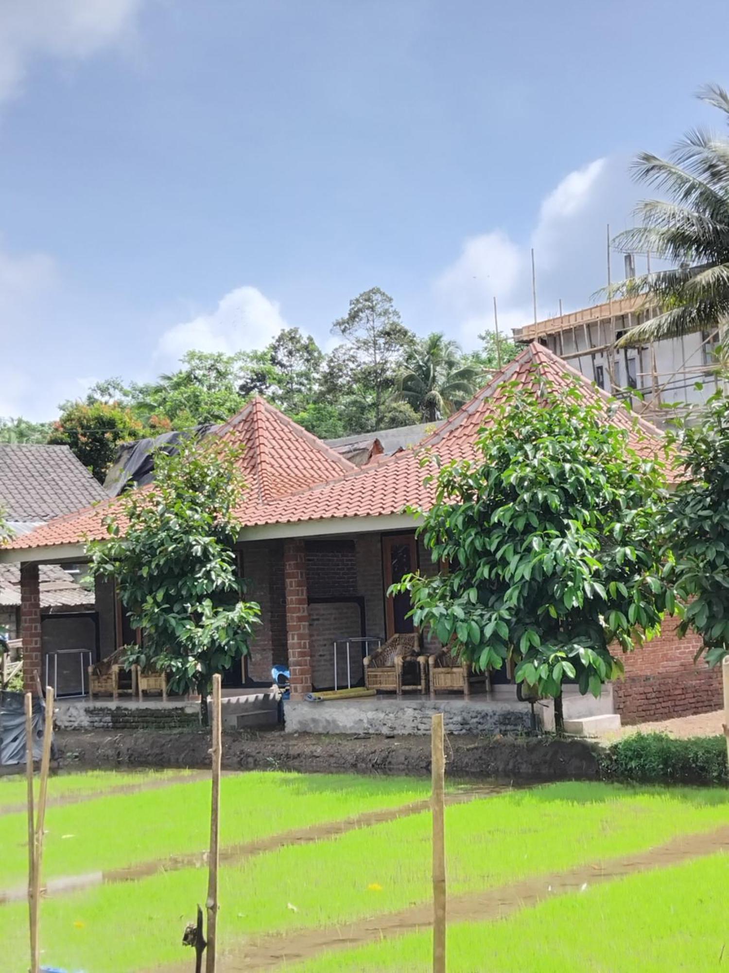 Tereng Wilis Bungalows เตเตบาตู ห้อง รูปภาพ