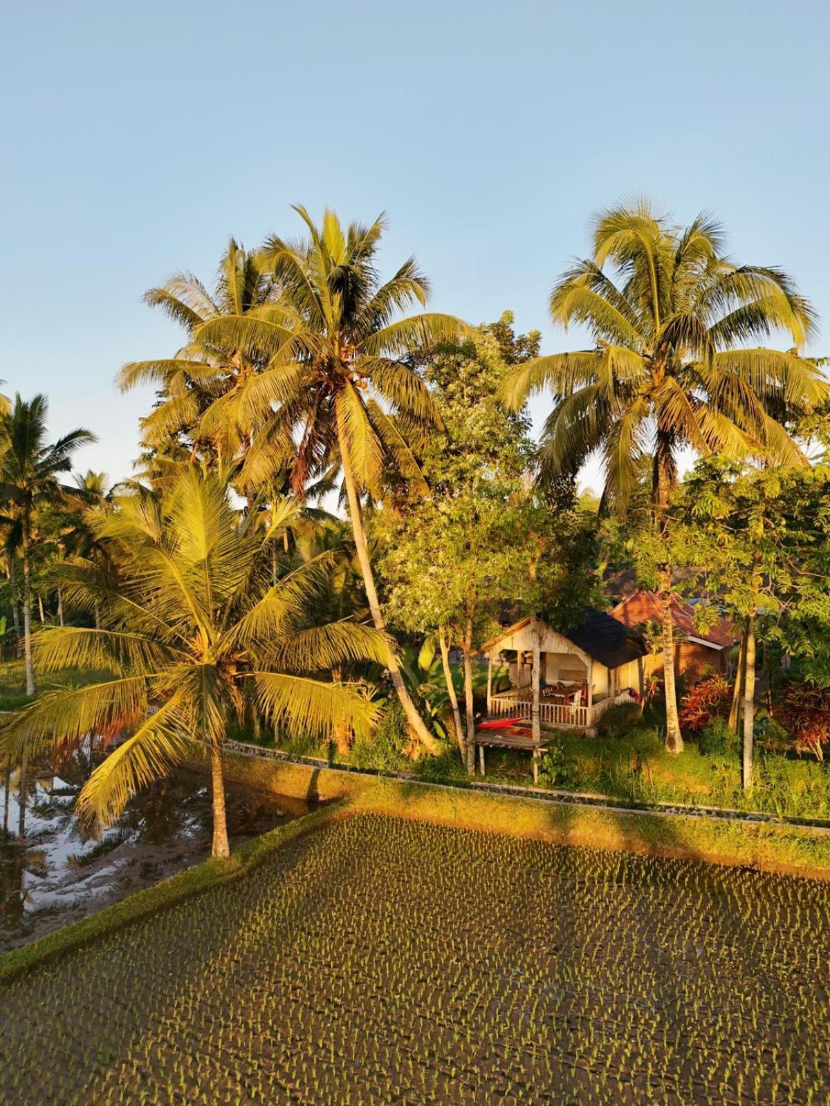 Tereng Wilis Bungalows เตเตบาตู ภายนอก รูปภาพ