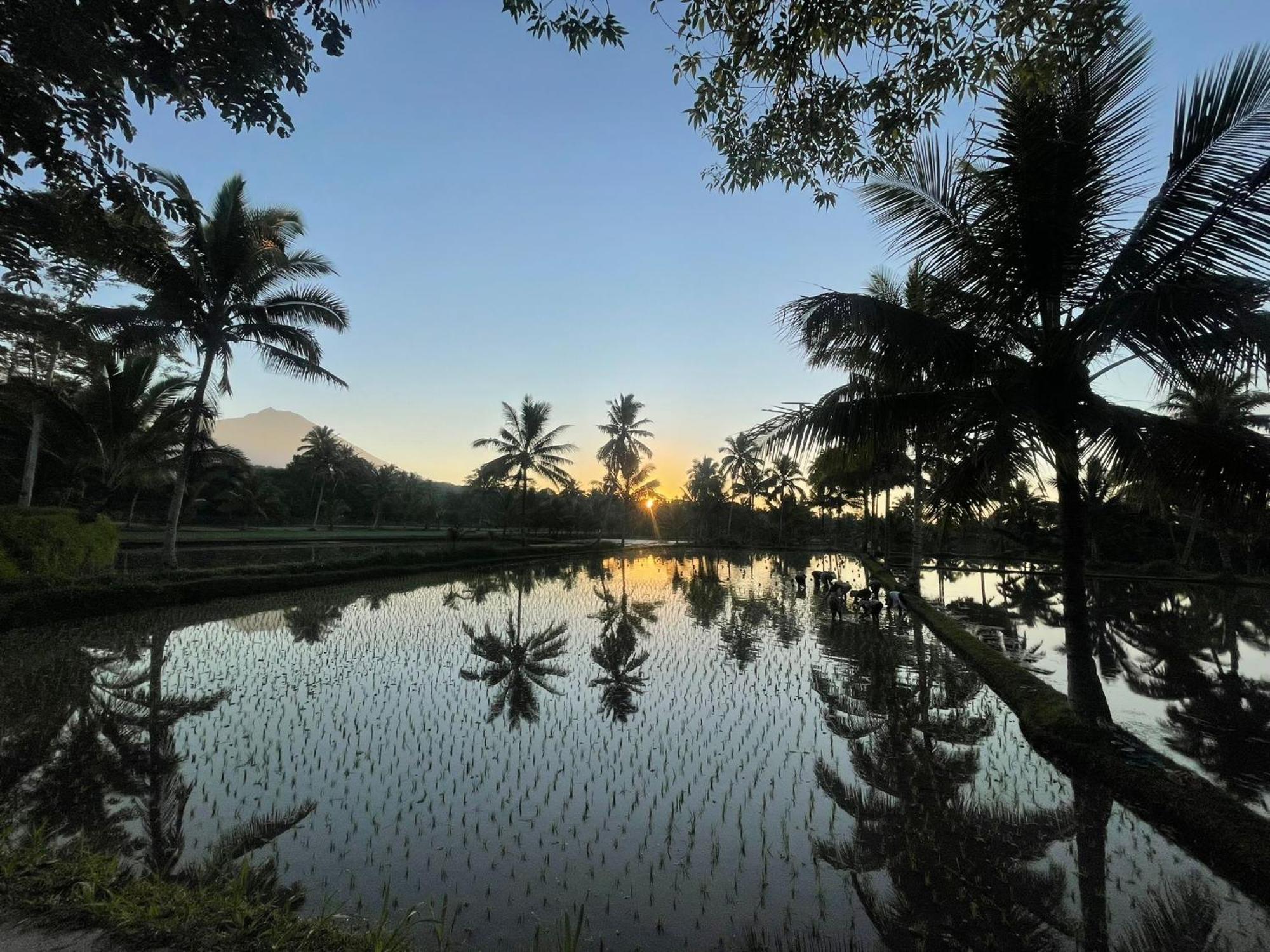 Tereng Wilis Bungalows เตเตบาตู ภายนอก รูปภาพ