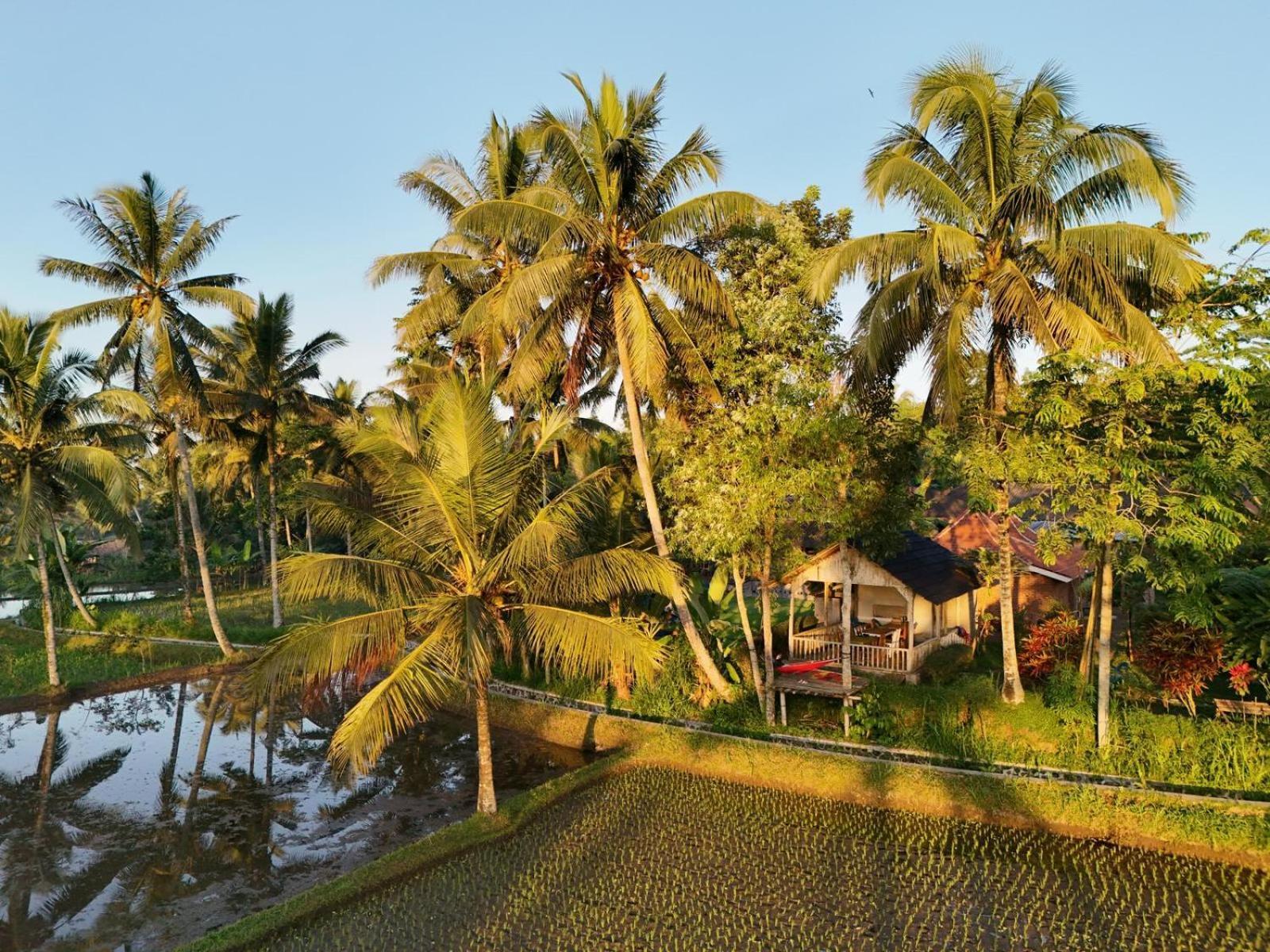 Tereng Wilis Bungalows เตเตบาตู ภายนอก รูปภาพ