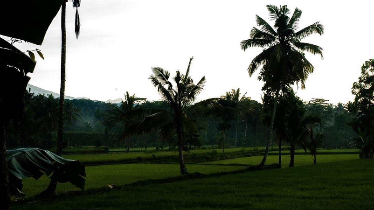 Tereng Wilis Bungalows เตเตบาตู ภายนอก รูปภาพ