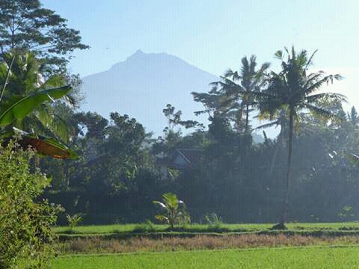 Tereng Wilis Bungalows เตเตบาตู ภายนอก รูปภาพ