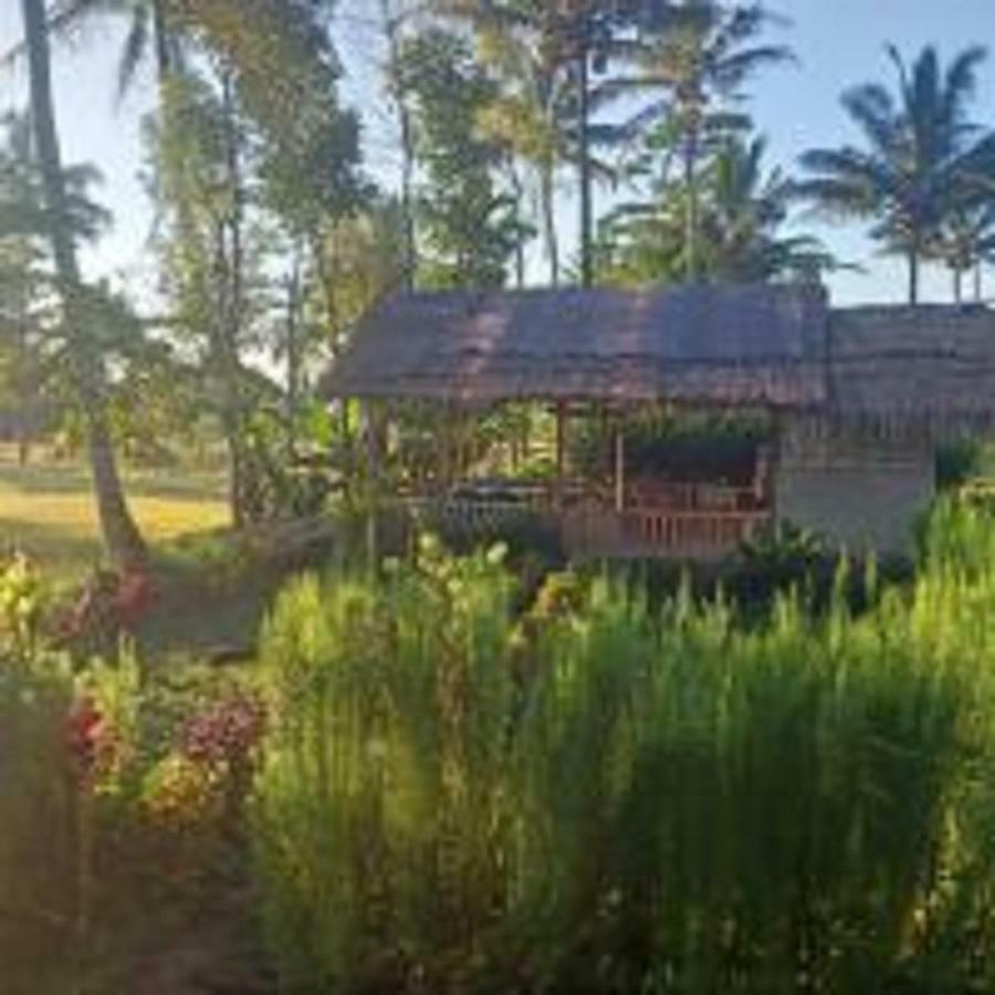Tereng Wilis Bungalows เตเตบาตู ภายนอก รูปภาพ