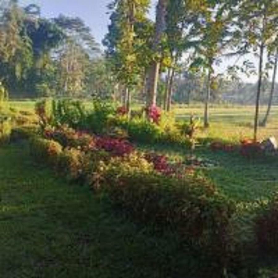 Tereng Wilis Bungalows เตเตบาตู ภายนอก รูปภาพ