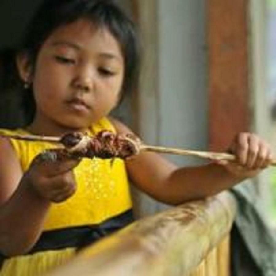 Tereng Wilis Bungalows เตเตบาตู ภายนอก รูปภาพ